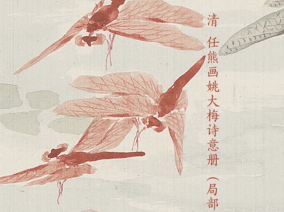 革命老区行